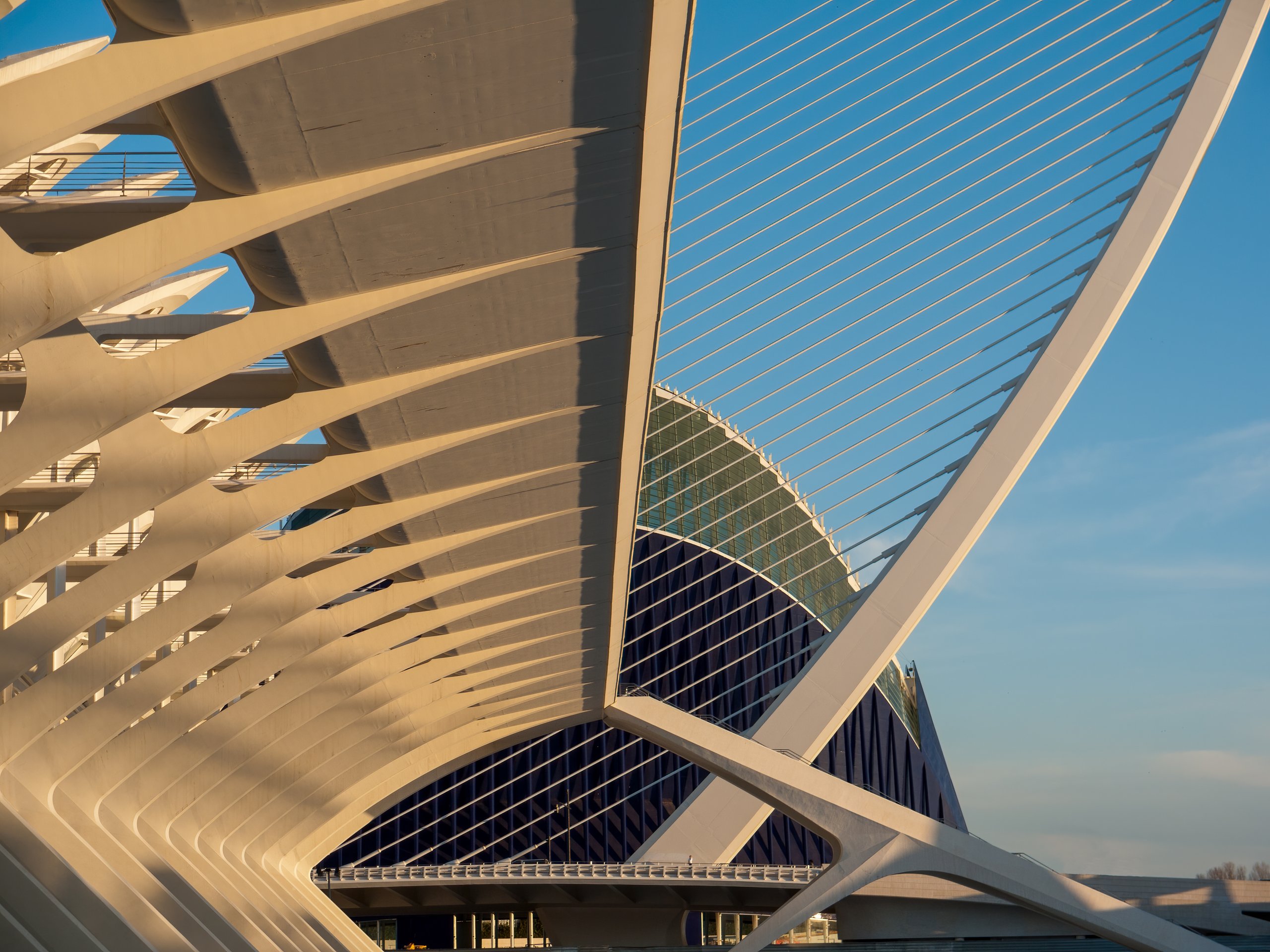 Geometric concrete and glass forms of the City of Arts and Sciences in Valencia, seen in perspective